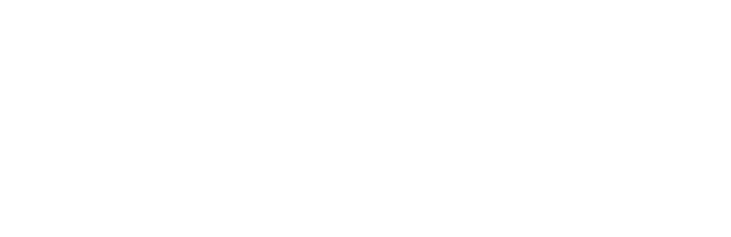Shamsen omsorg AB logotyp