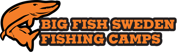 Big Fish Sweden AB logotyp