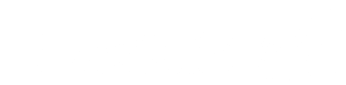 Lizas Hemtjänst & Städ AB logotyp