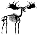 Northern Fable AB logotyp