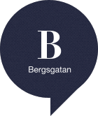 AB Bergsgatan - Handledning, Psykoterapi & Utbildning logotyp