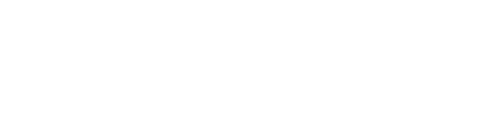 Digital Strategi Skandinavien AB logotyp