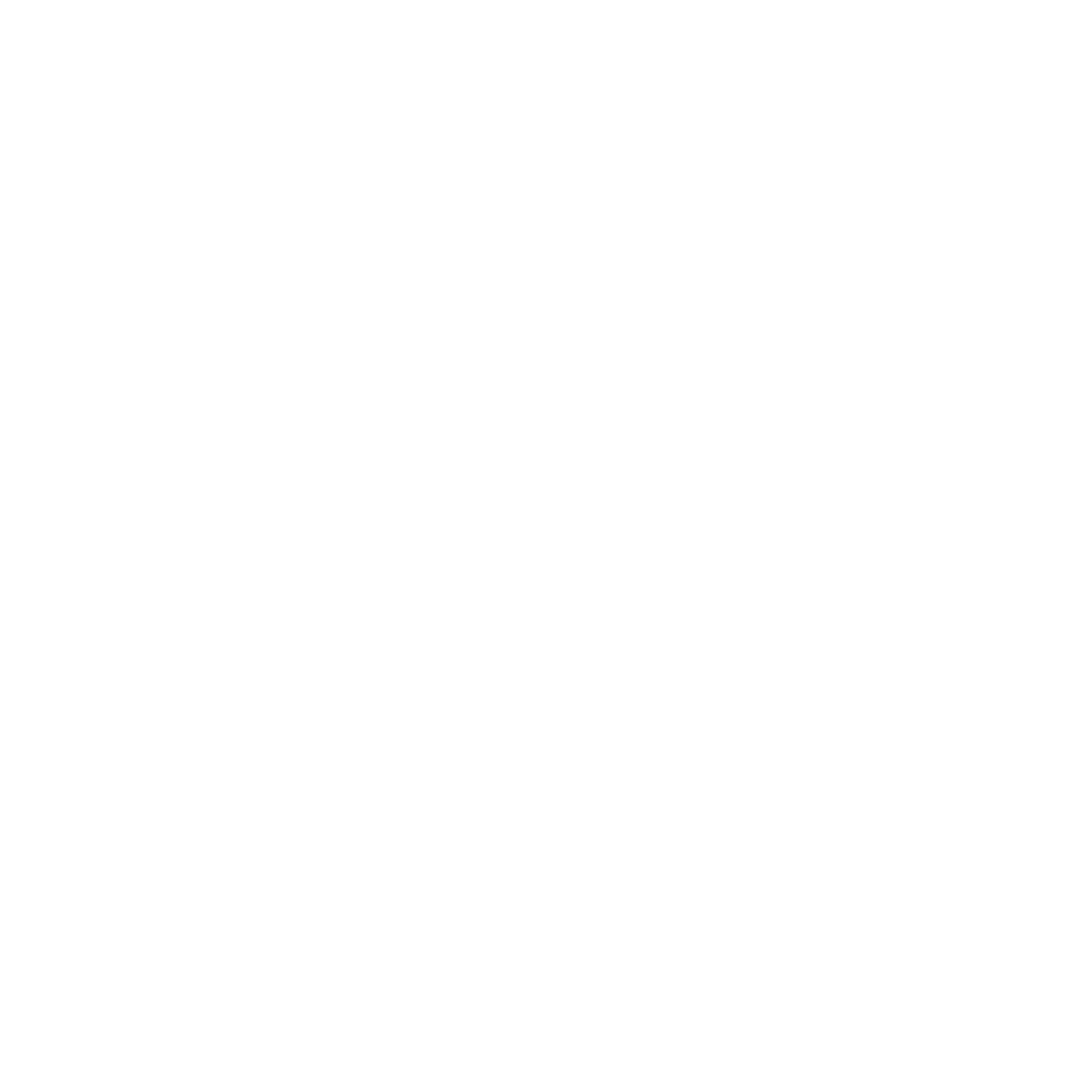 Showmind Sweden AB logotyp