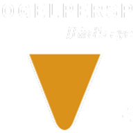 Vogelperspektiv AB logotyp
