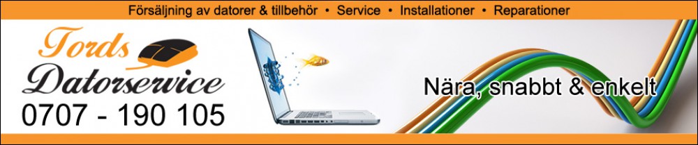 Tords Datorservice AB logotyp