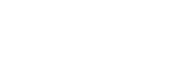 Fogel & Partners i Stockholm AB logotyp