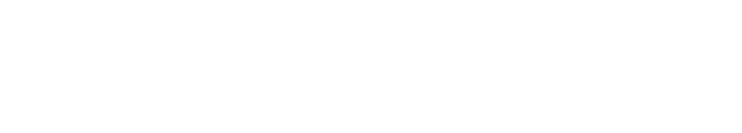Spaider AB logotyp