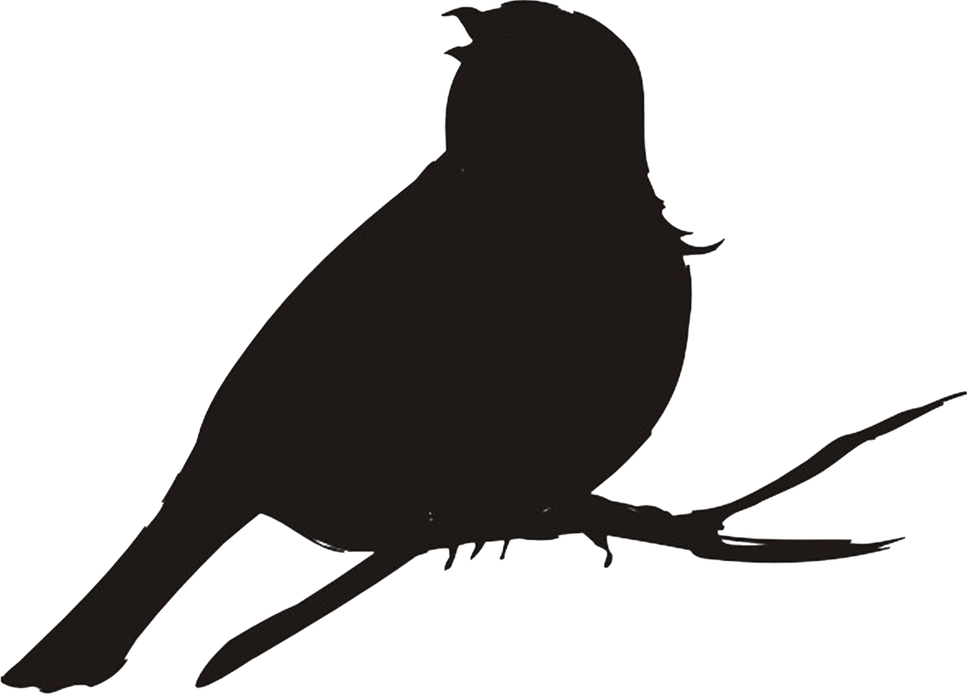 Skavelys AB logotyp