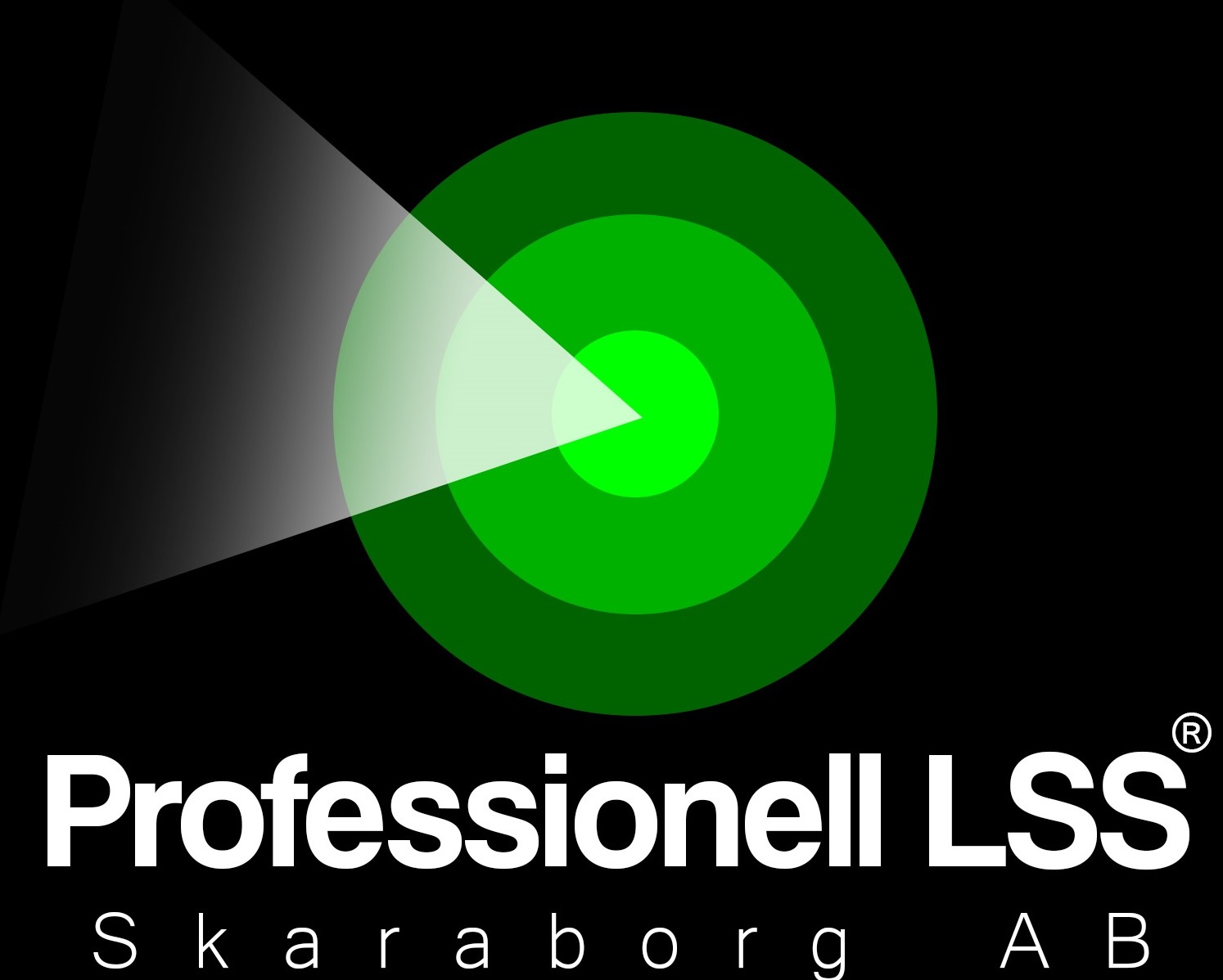 Professionell LSS Skaraborg AB logotyp