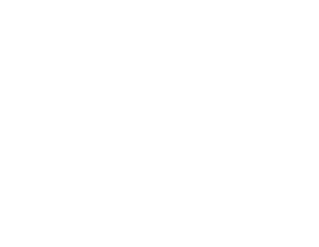 MN Equestrian AB logotyp