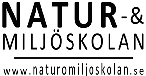 Natur- och Miljöskolan i Åmål AB logotyp