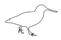 Skedevi Torpa revision och ekonomikonsult AB logotyp