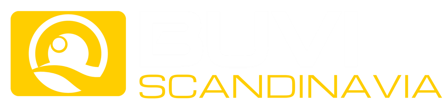BUVI Scandinavia AB logotyp