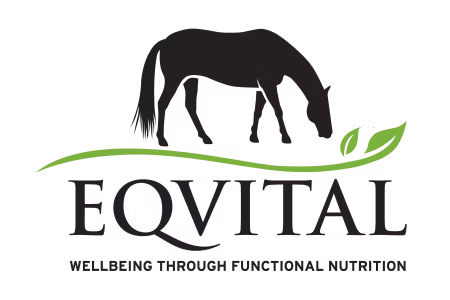 Eqvital AB logotyp