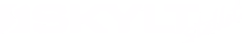 SKYLTSTÄLLET SVERIGE AB logotyp