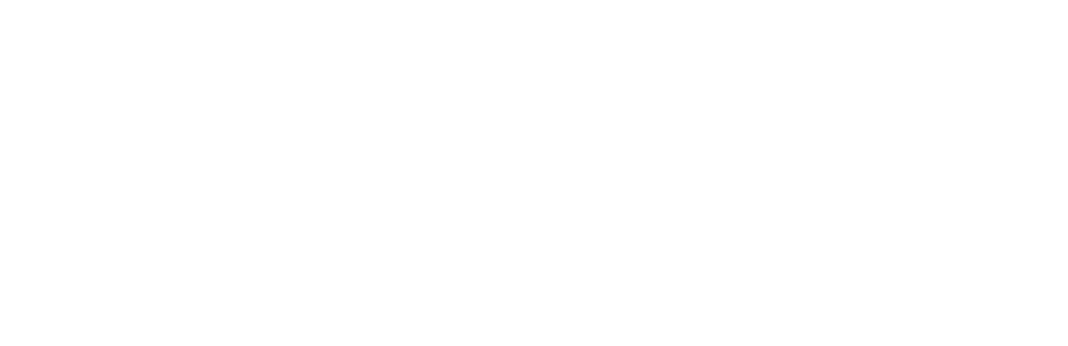 Brain Stimulation AB logotyp