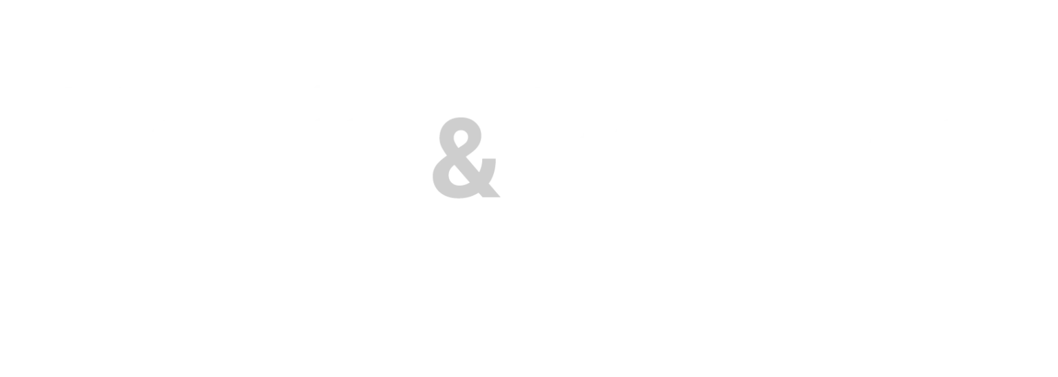 Norlin & Persson AB logotyp