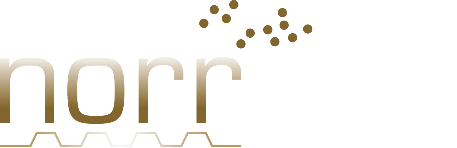 Norrplåt i Skellefteå AB logotyp