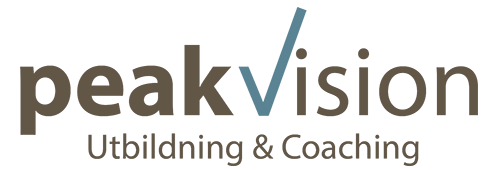 PeakVision AB logotyp