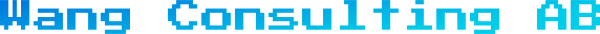 Wang Consulting AB logotyp