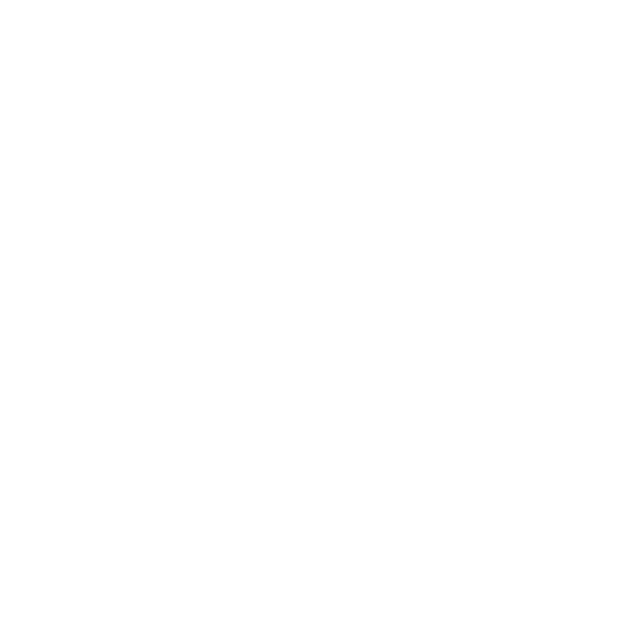 Norrtälje Sound & Vision Studio AB logotyp