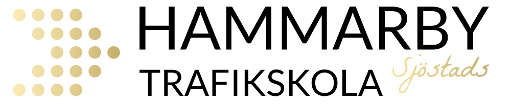 Hammarby Sjöstads Trafikskola AB logotyp