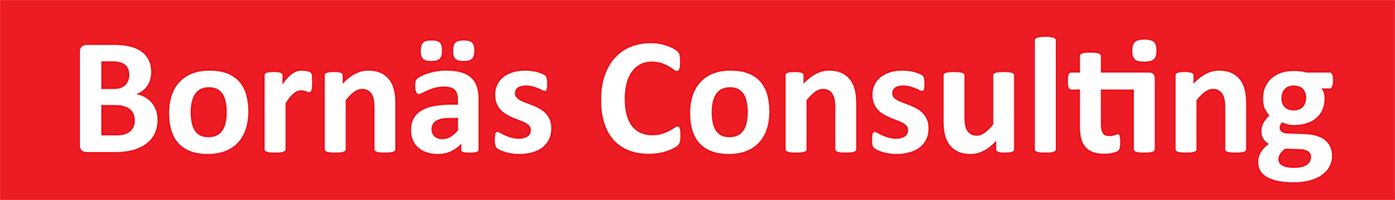 Bornäs Consulting AB logotyp