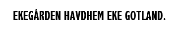 Authentic AB logotyp