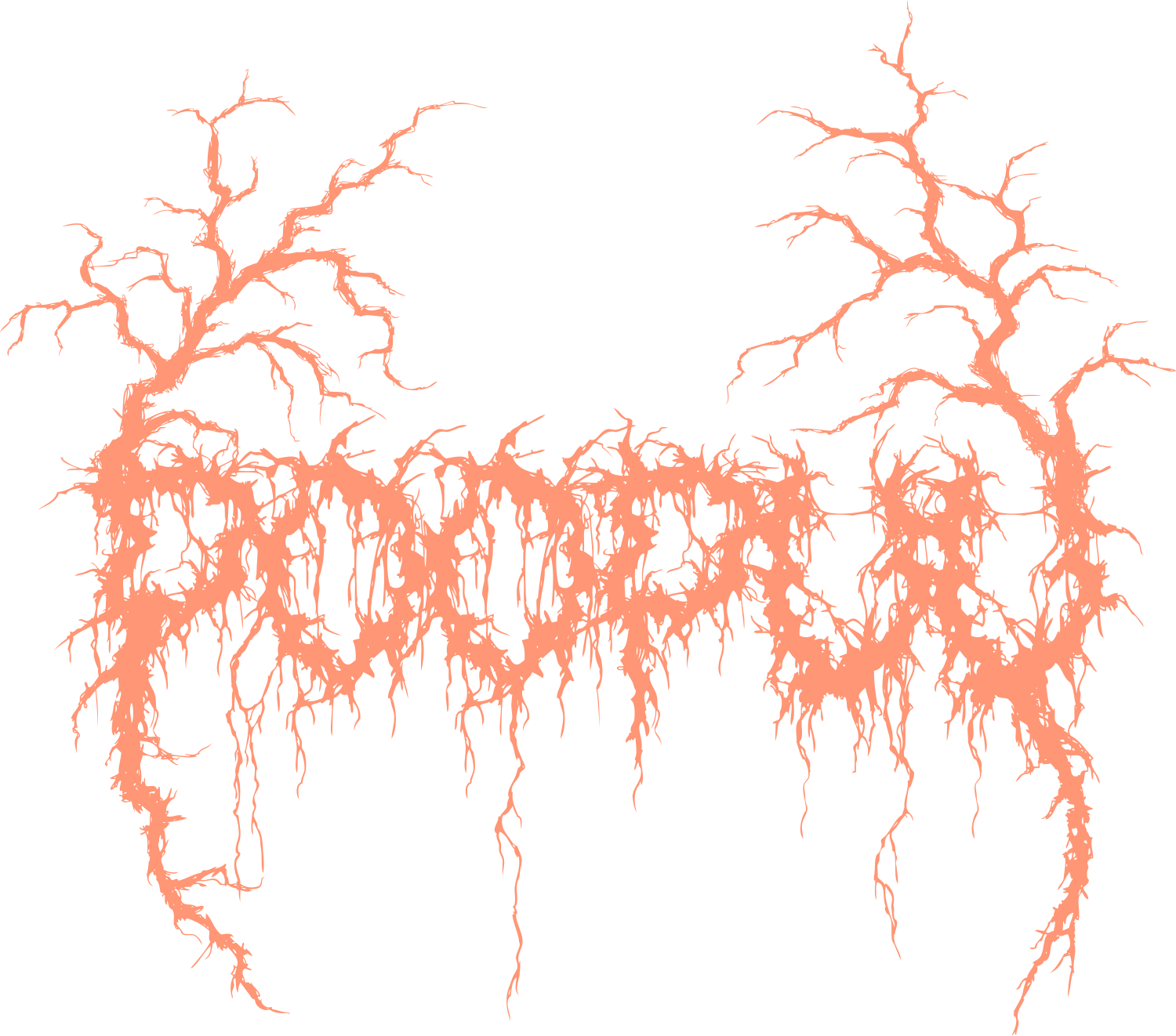 Jimmy Poopuu AB logotyp
