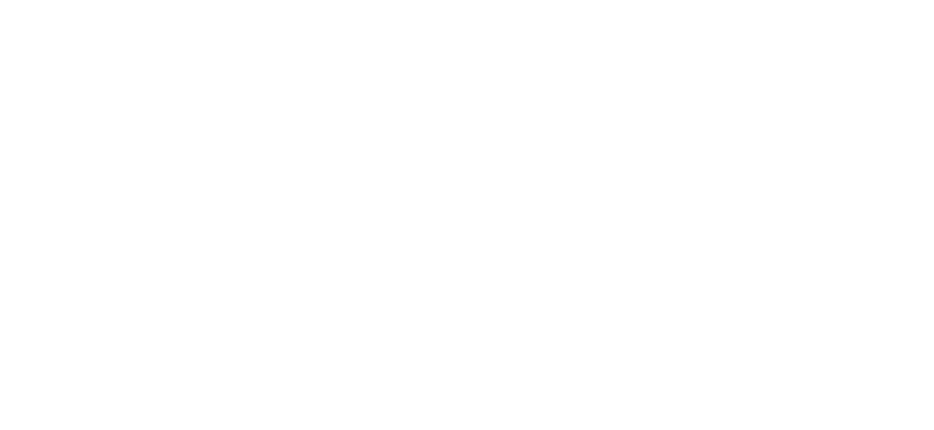 Niotechnology AB logotyp