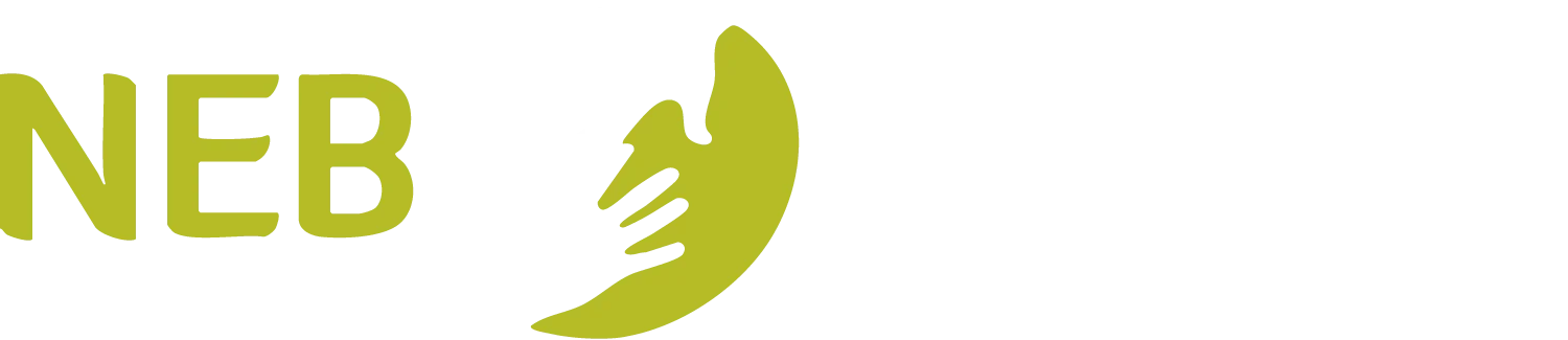NEB - TEAMET AB logotyp