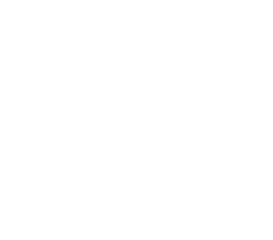 Pettersson & Karlsson Skog & Häst AB logotyp