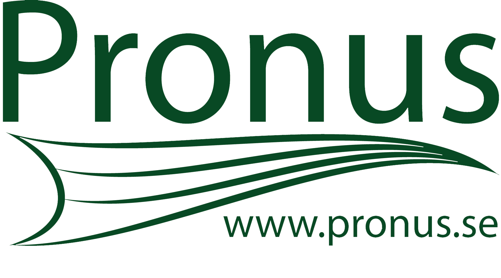 Pronus Konsult AB logotyp