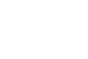 Hasseltorp Skog & Naturvård AB logotyp
