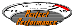 Perfect Performance AB logotyp