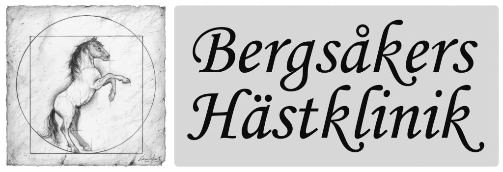 Bergsåkers Hästklinik AB logotyp