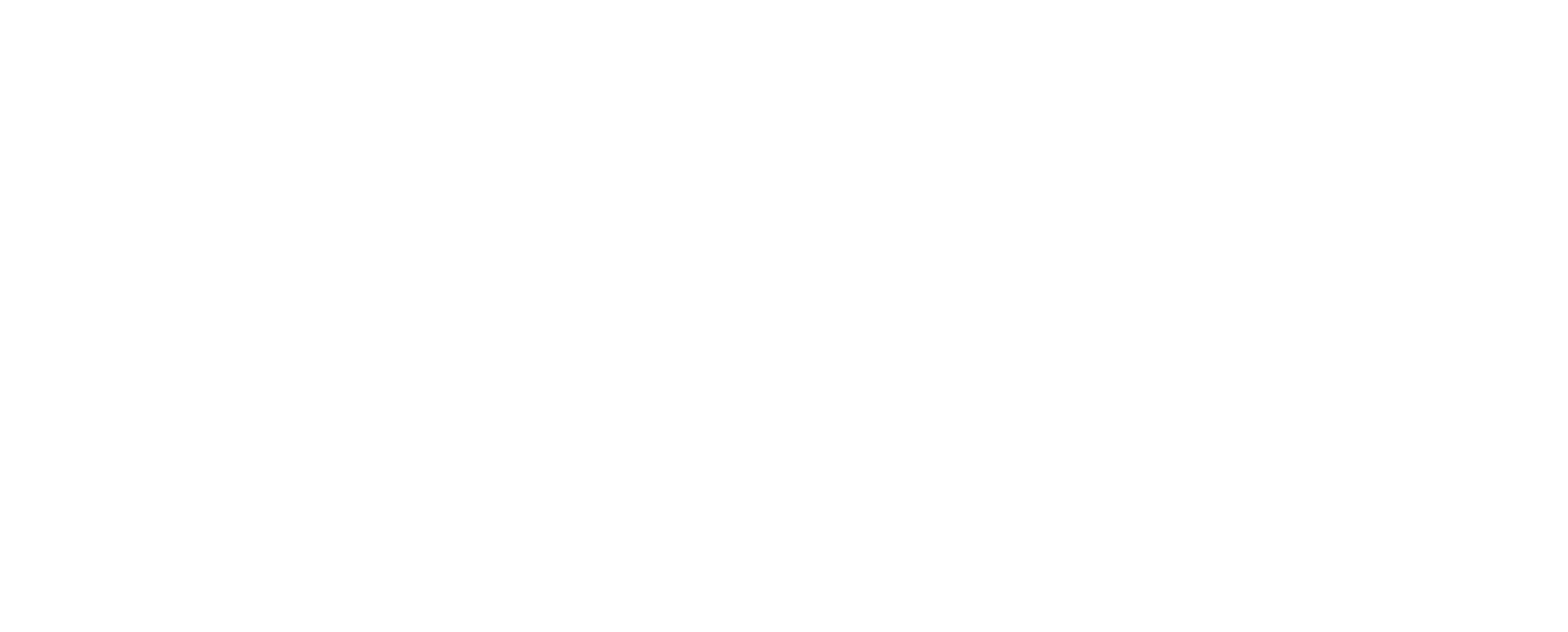 Wass Management AB logotyp