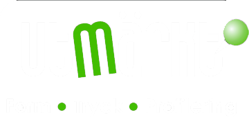 Utmärkt i Boden AB logotyp