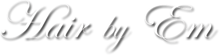 EÖ Salong AB logotyp