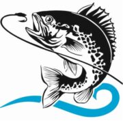 Camp Svanis AB logotyp