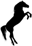 Myrby Ponnyridskola AB logotyp