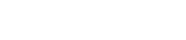 Biltransport Service Sverige AB logotyp