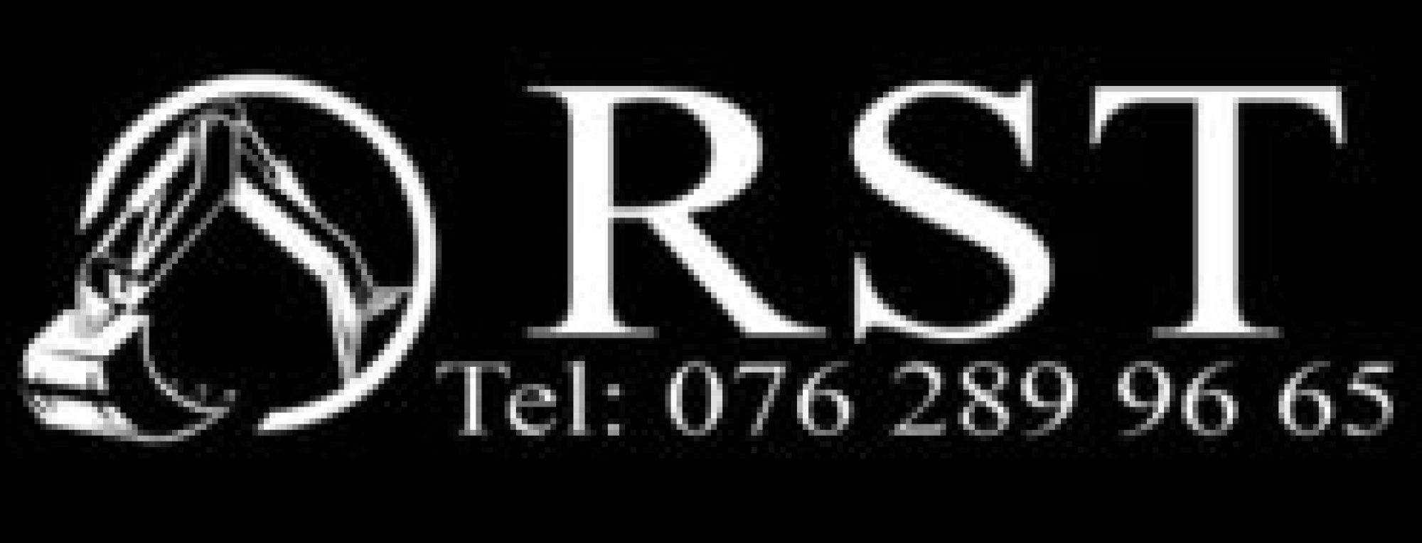 RST RIV OCH BYGG AB logotyp