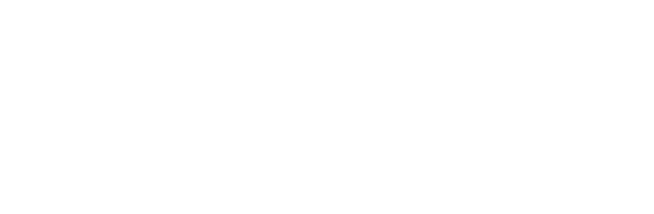 Dingleveterinärerna AB logotyp