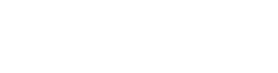 WT Trailer AB logotyp
