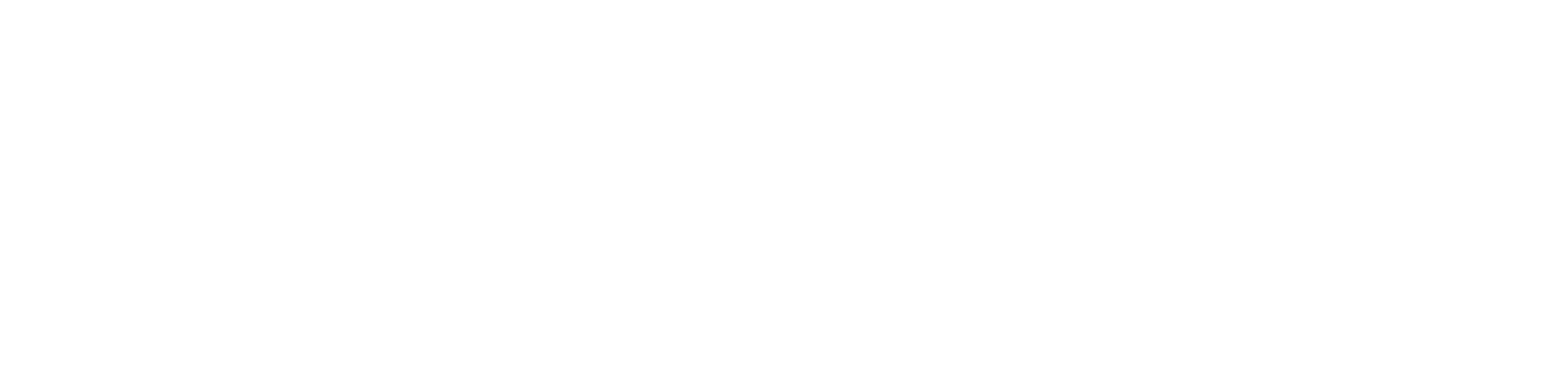 Personlig Assistans i Södra Sverige AB logotyp