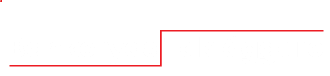 Bankeryds Takläggare AB logotyp