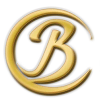 Bildtolkningscentret Irene Ståhl AB logotyp