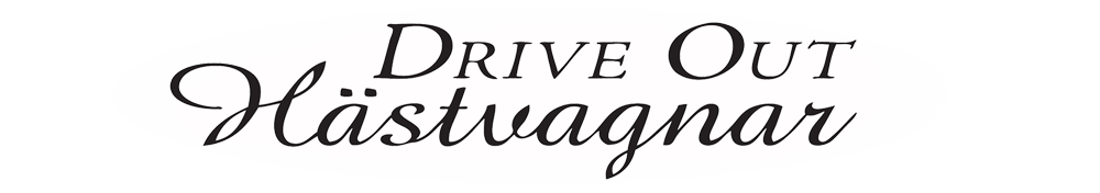 Drive Out AB logotyp
