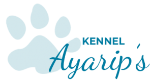 Åsgläntans Hundservice AB logotyp